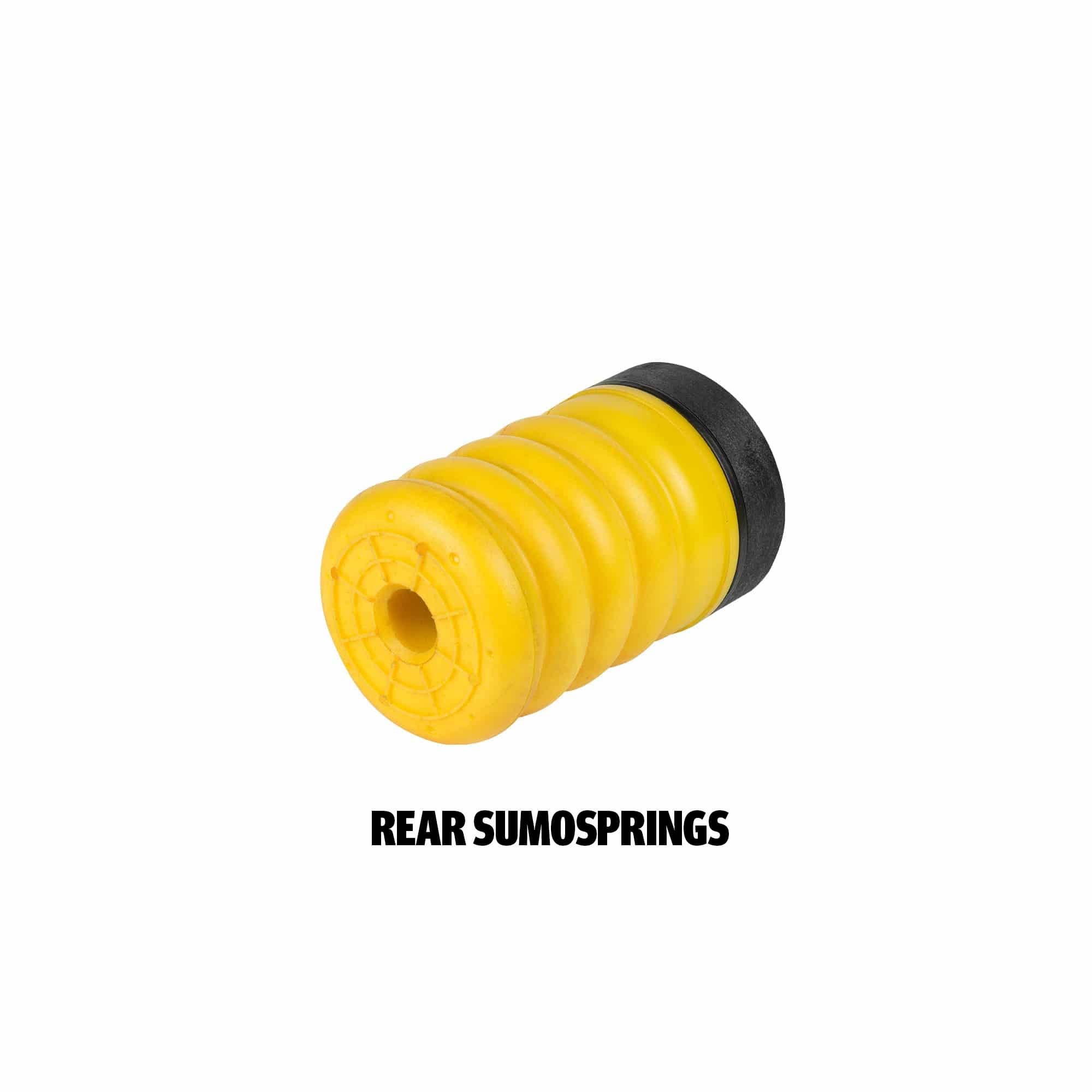 K-10-008 – K 10 008REAR bottom